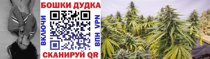Конопля семена ссылка на мегу ссылка Воткинск